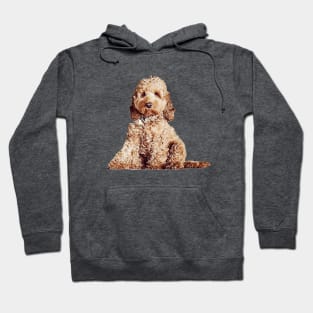 Cavoodle Labradoodle Cockapoo Mini Poodle x Cute Puppy Dog Hoodie